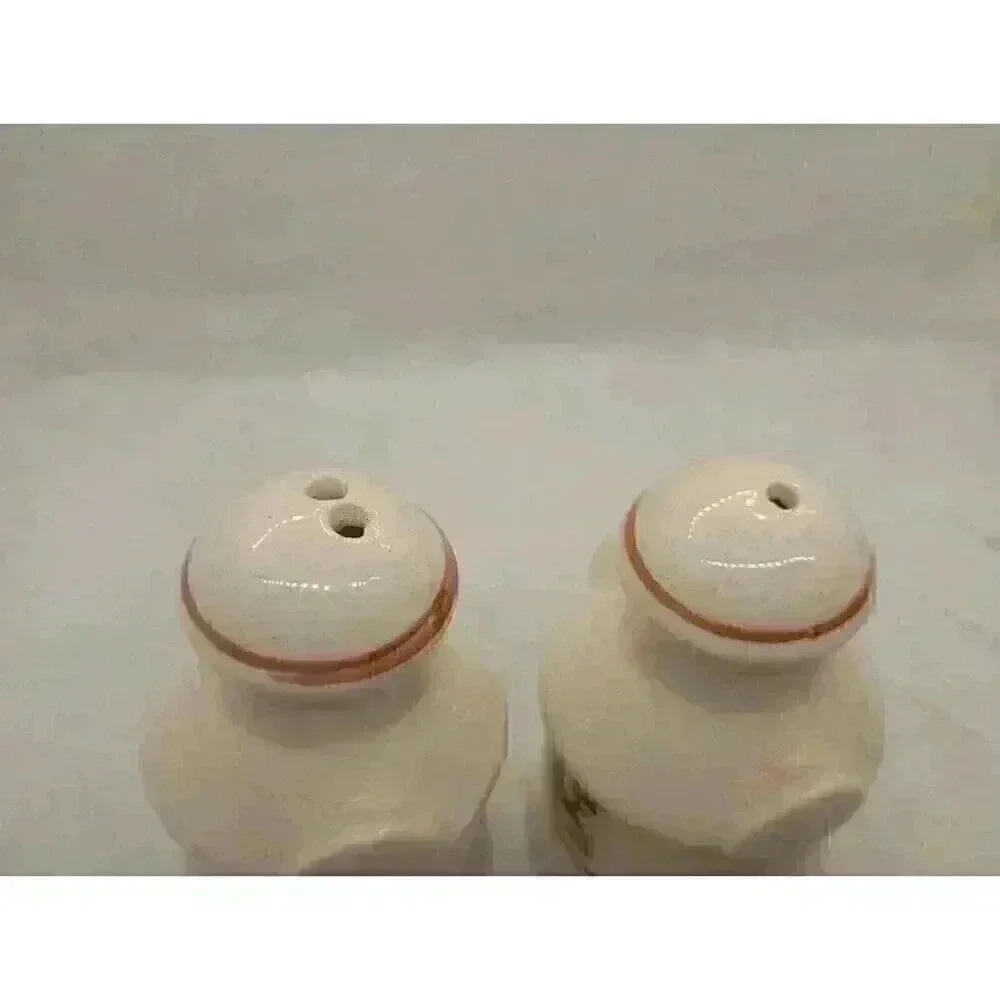 Souvenir Vtg North Carolina Salt And Pepper Shakers Collectable Home Decor